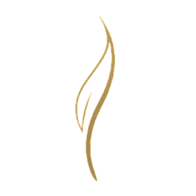 Luxe Hair Clinic